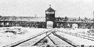 Auschwitz-Birkenau