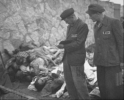 Mauthausen crpses