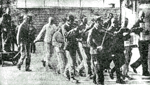 Prisoners'
                                                          Orchestra