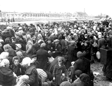 A very busy
                                            place: Birkenau-Auschwitz in
                                            1944