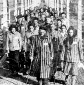 Birkenau survivors