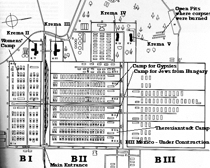 Birkenau Map