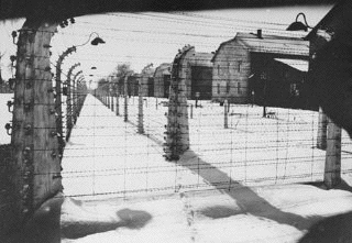 Auschwitz, 1945