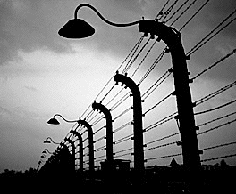 Auschwitz electrified fences