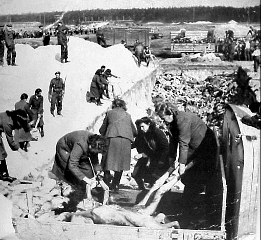 Began-Belsen
                                                          at liberation