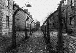 Auschwitz