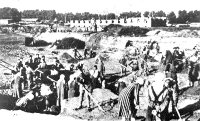 Birkenau under construction by
                                  the Auschwitz inmates.