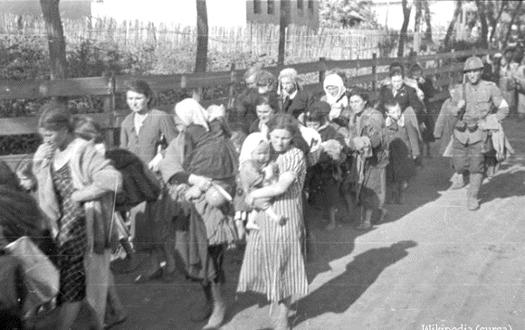 Romanian Jews from Bukovina
                                      to Transnistria