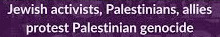 Palestinian
                                                genocide