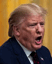 furious trump