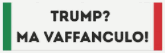 trump
vaffanculo